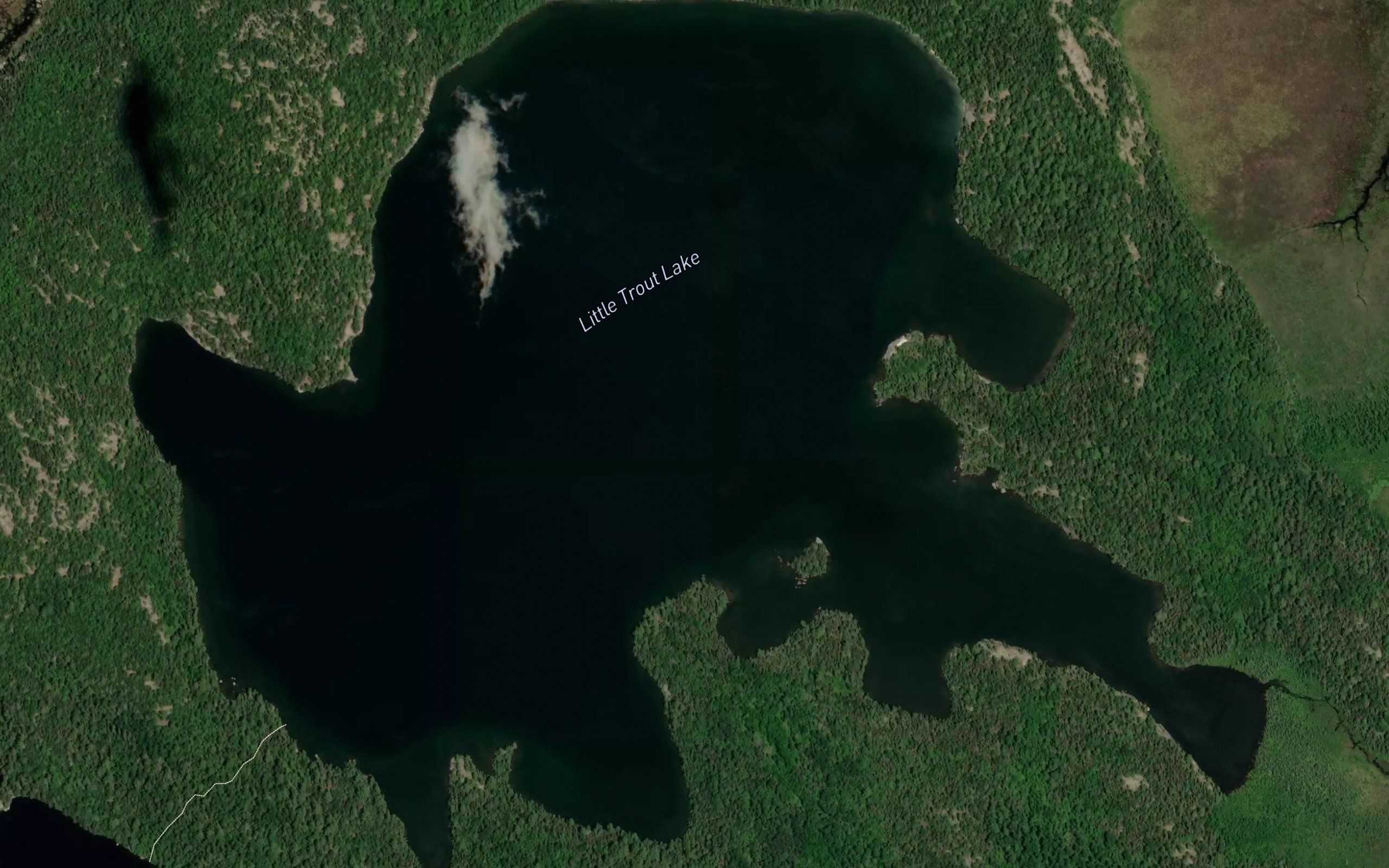 Little Trout Lake