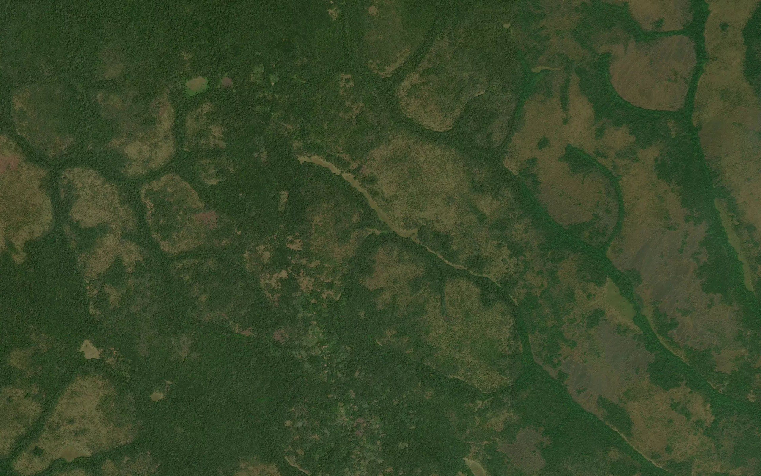 Malenga