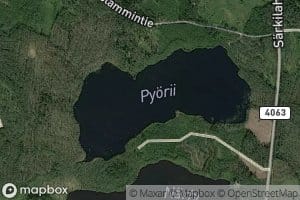 Pyorii