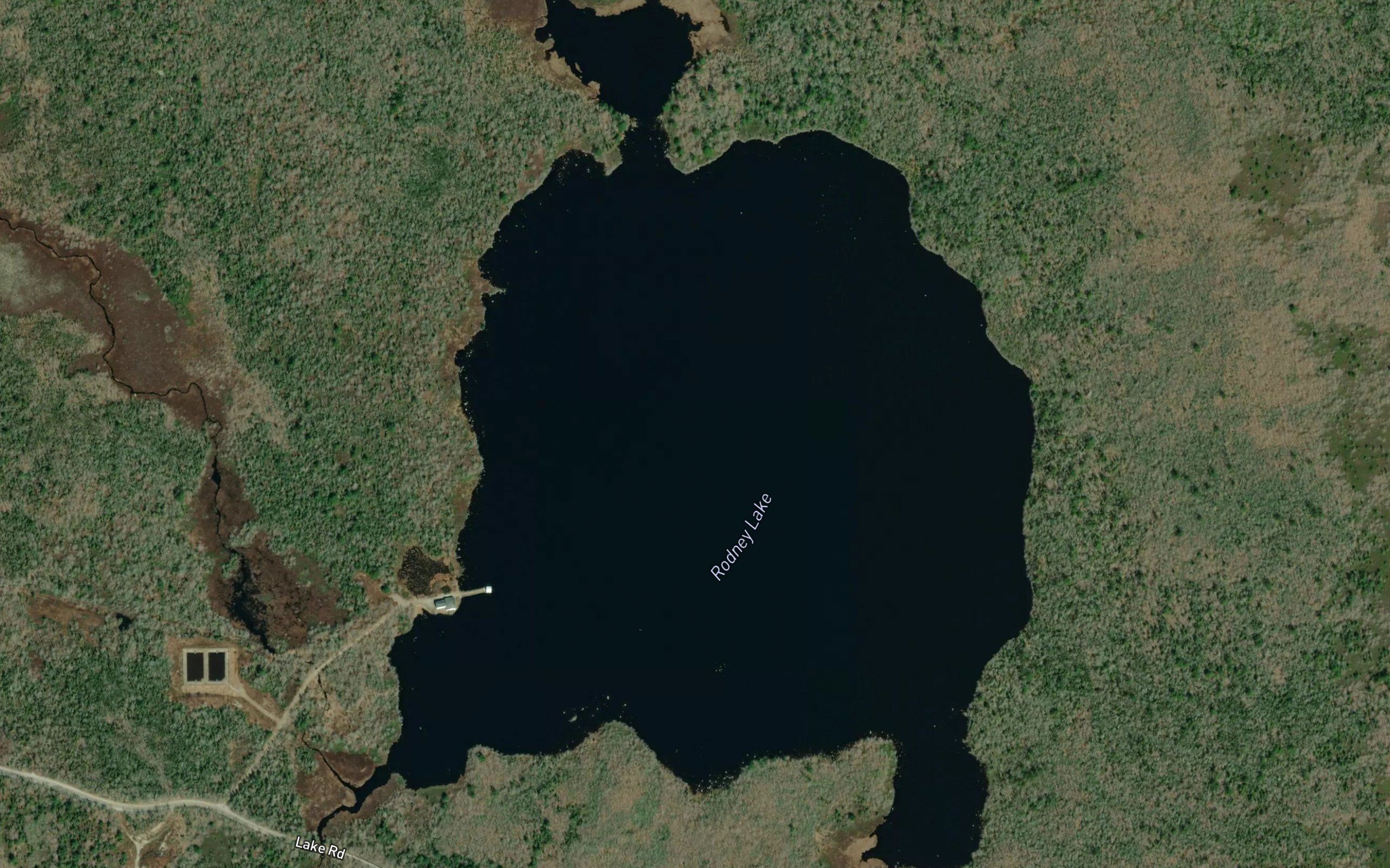Rodney Lake