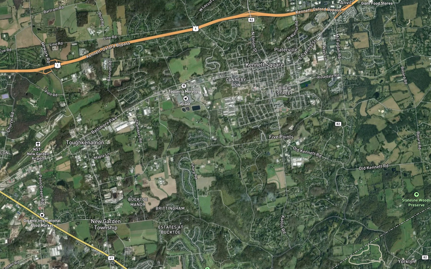 Satellite map of the Scarlett Run