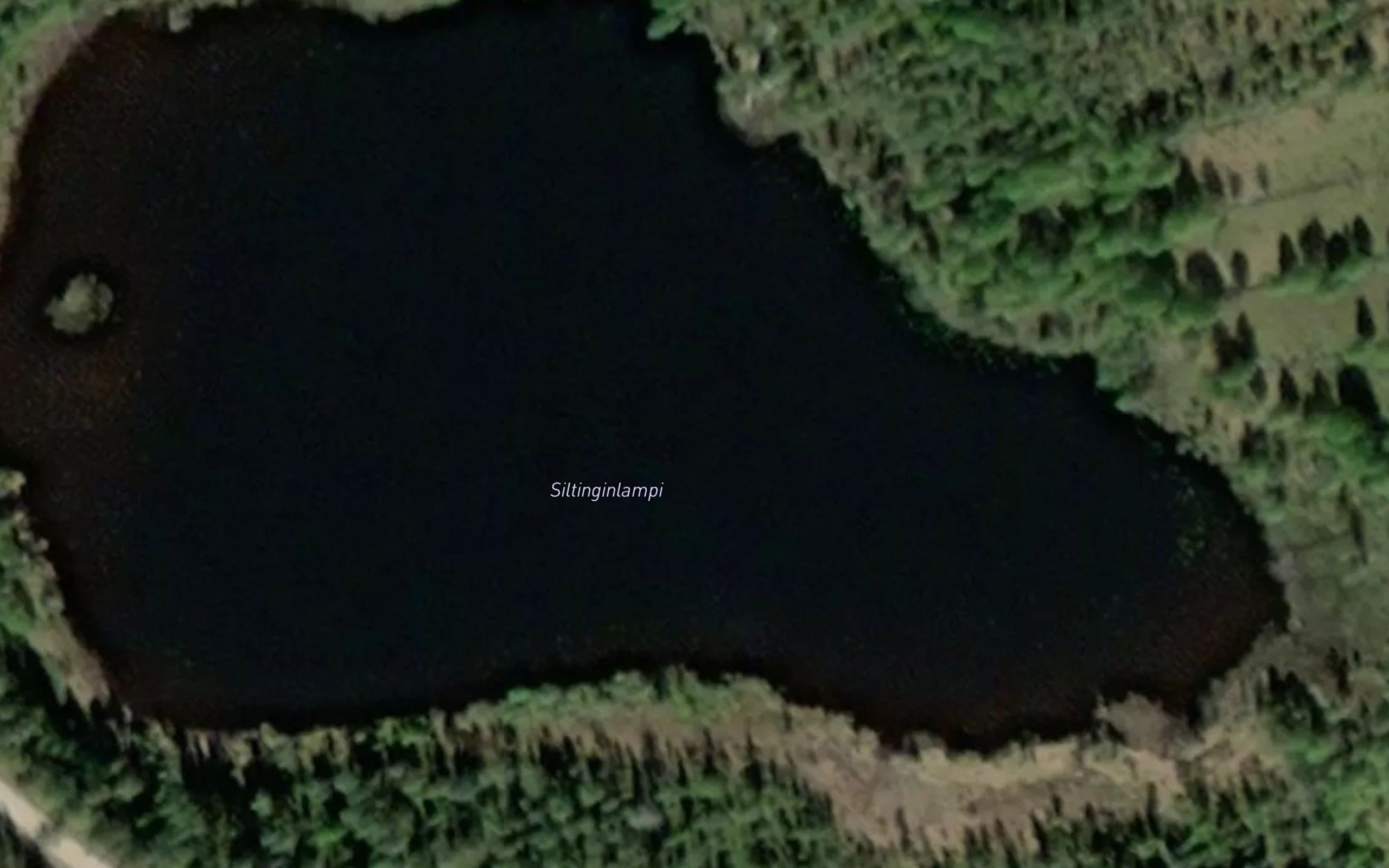 Siltinginlampi