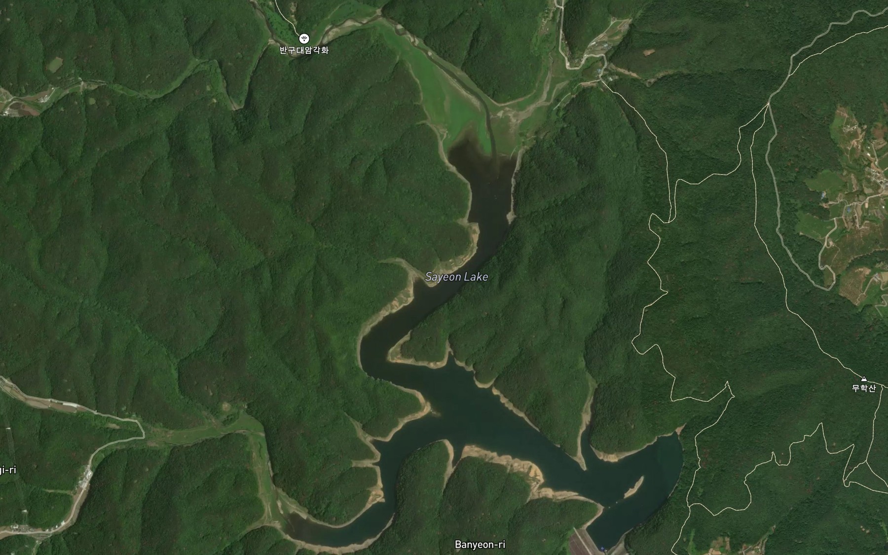 Satellite map of the Sayeonho
