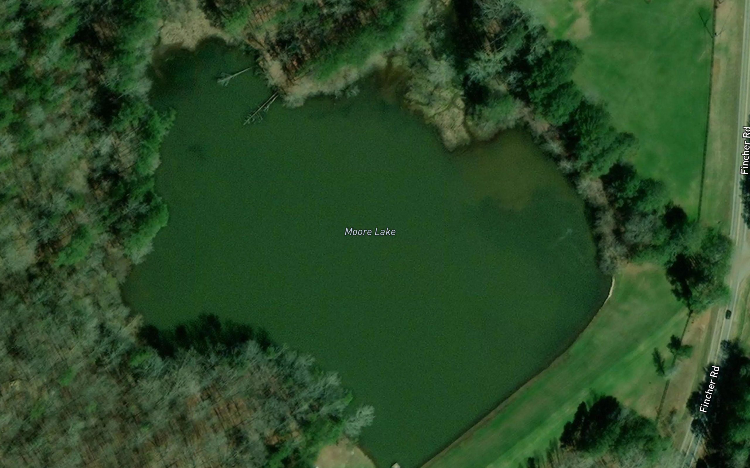 Moore Lake