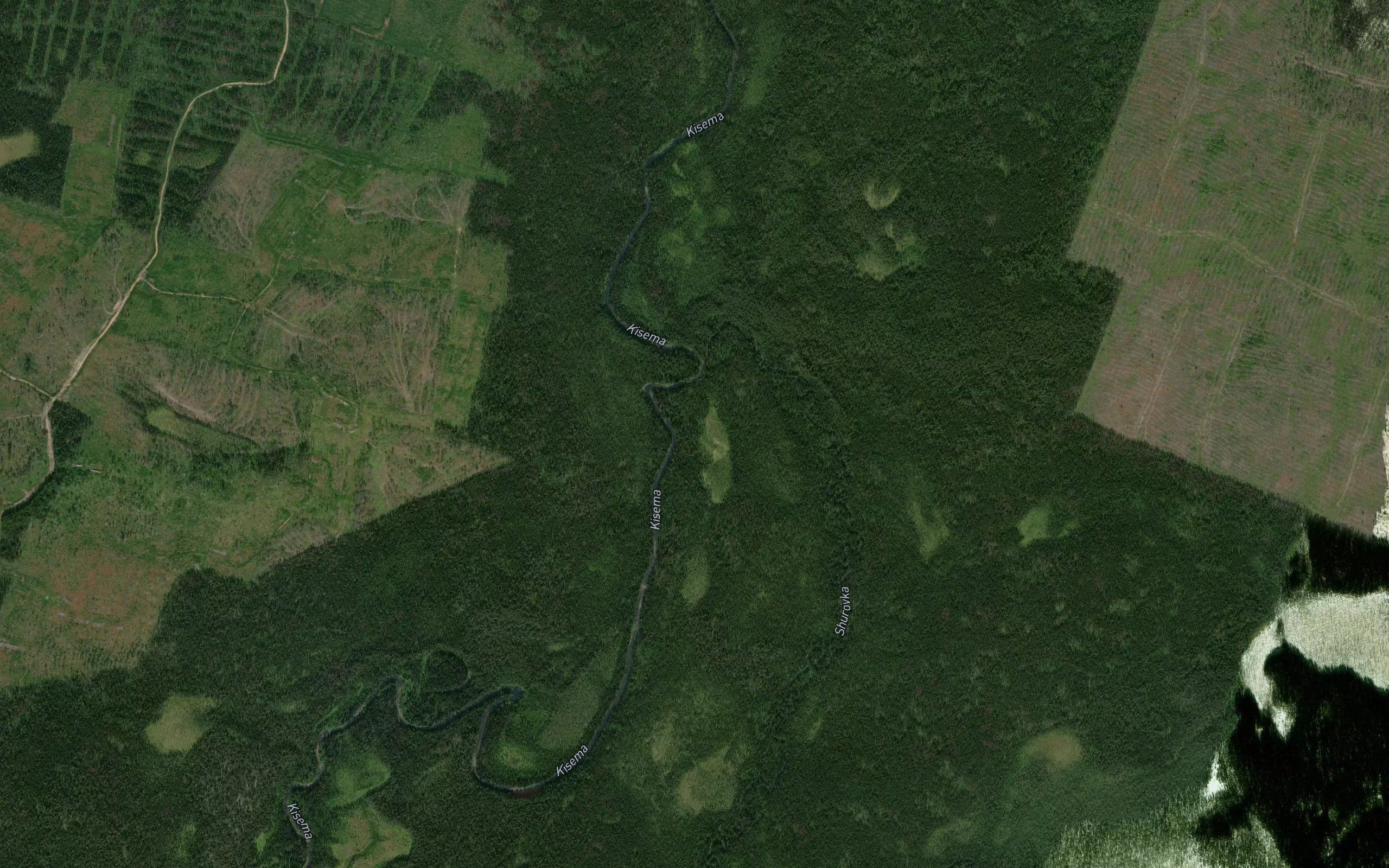 Shurovka