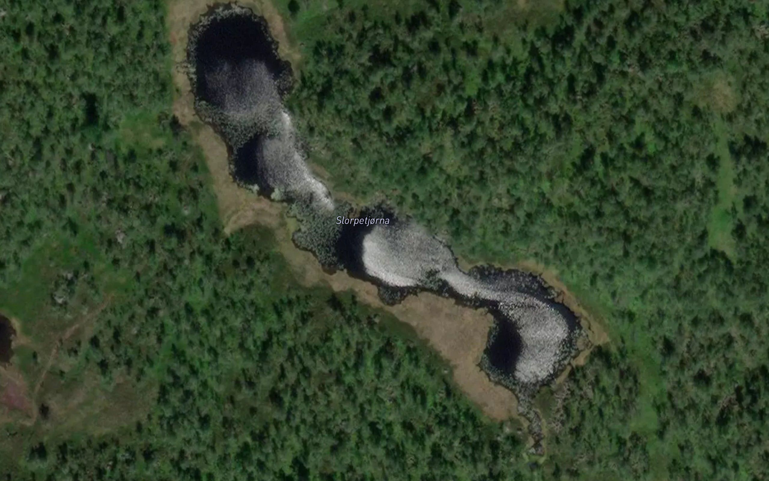 Slorpetjorna
