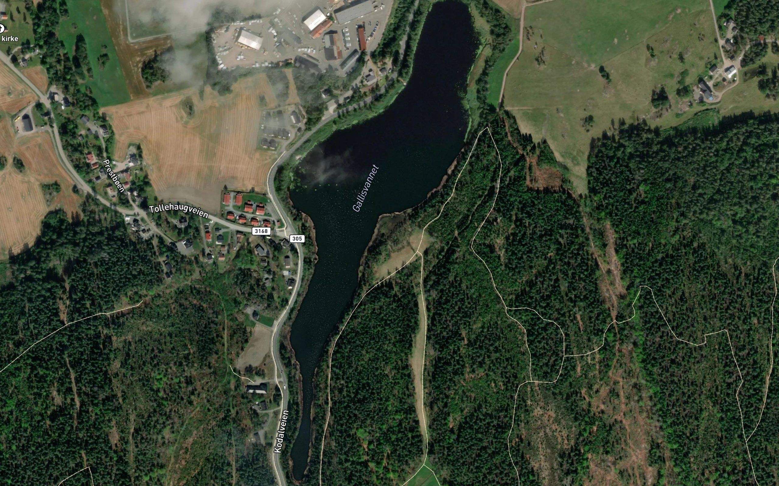 Gallisvatnet