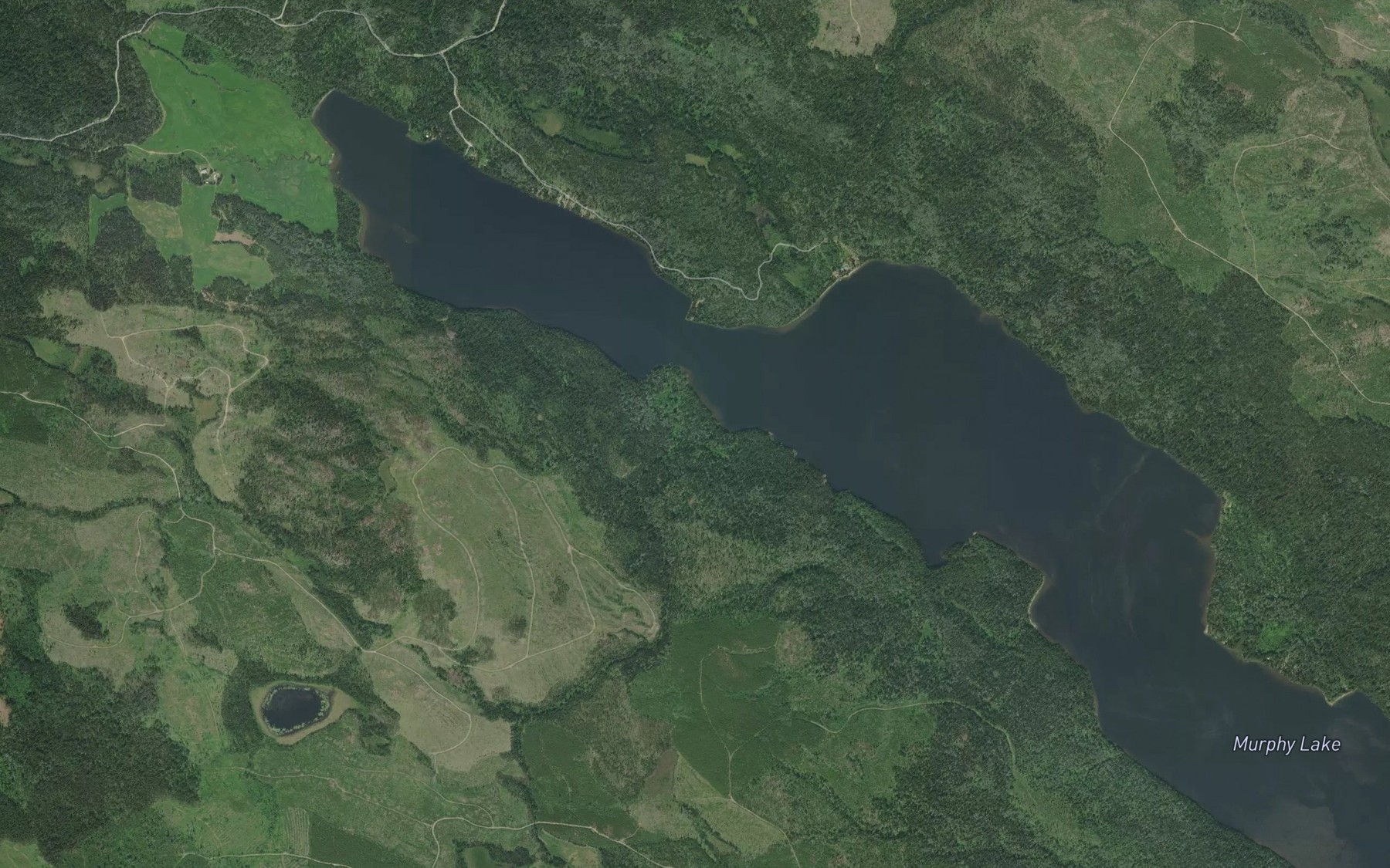 Satellite map of the Murphy Creek