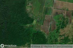 Brazo del Rio Colojate