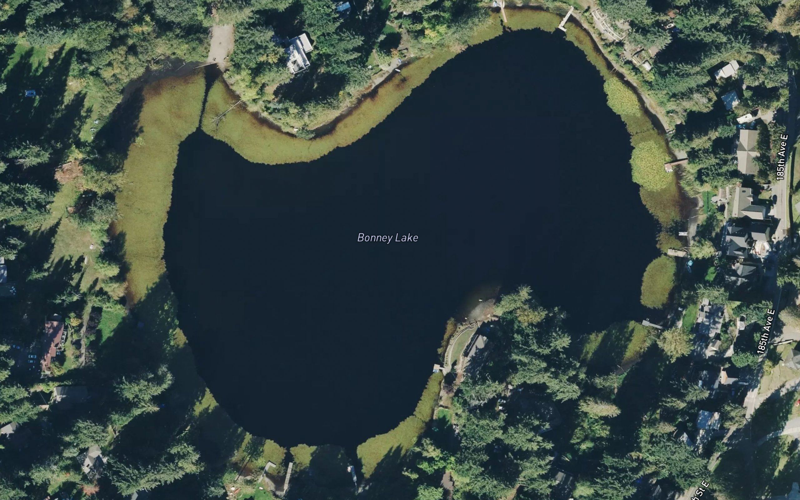 Bonney Lake