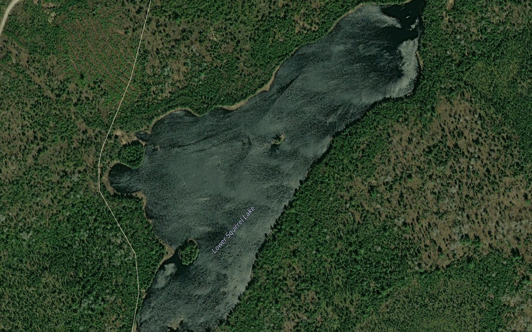 Satellite map of the Lower Squirrel Lake