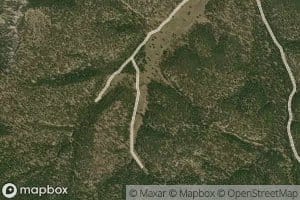 Tin Cup Spring