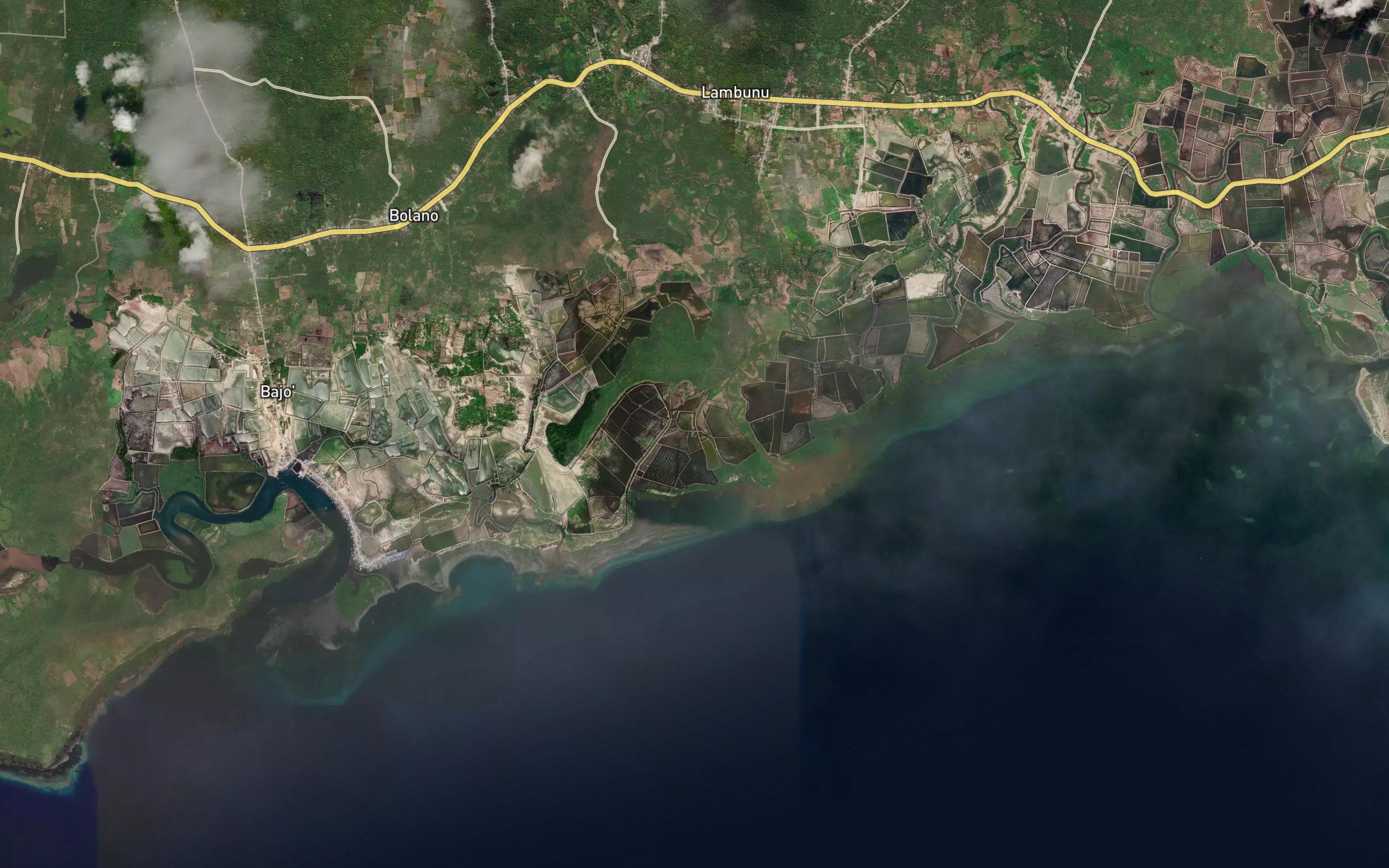 Botaonyo Lambunu