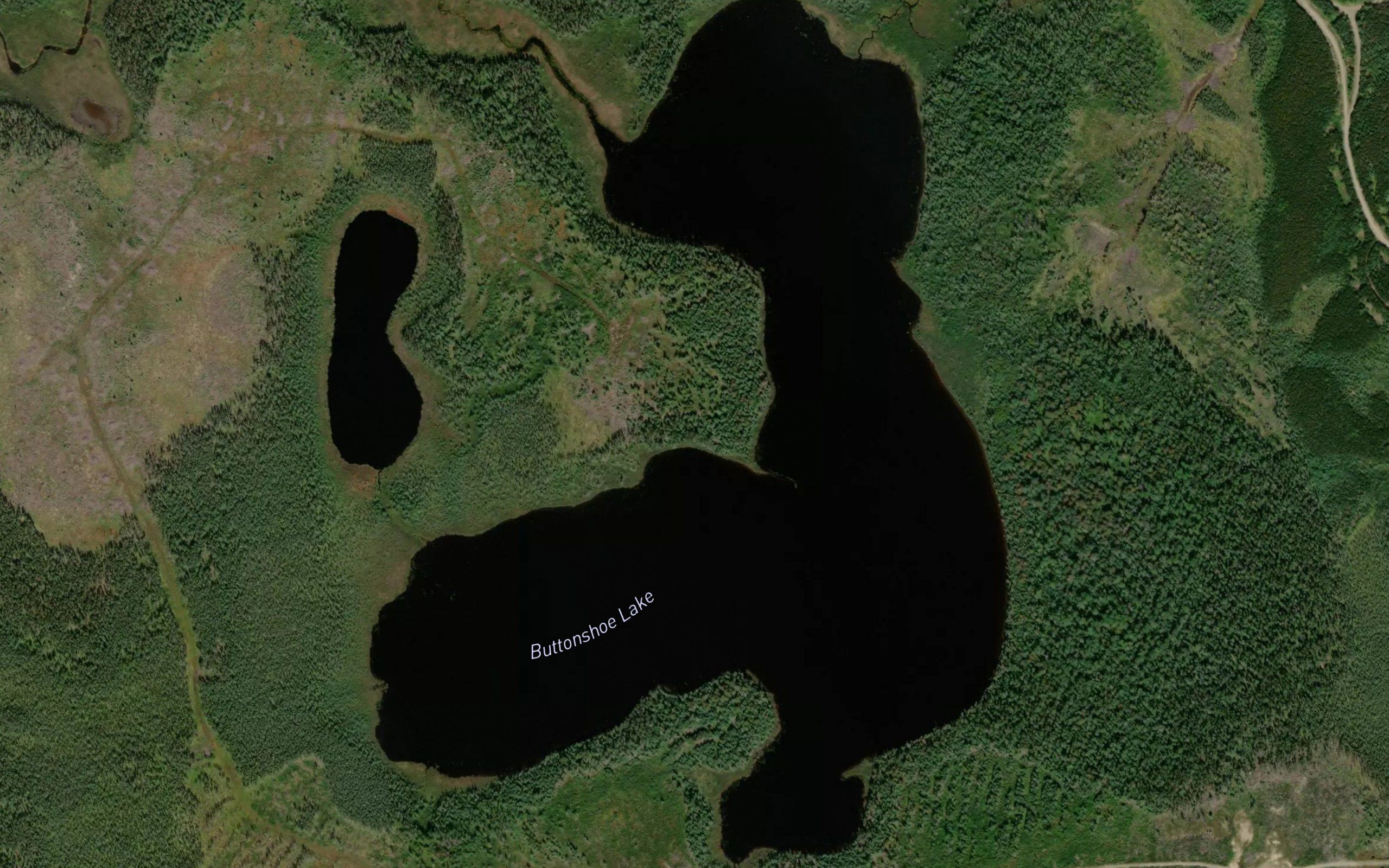 Buttonshoe Lake