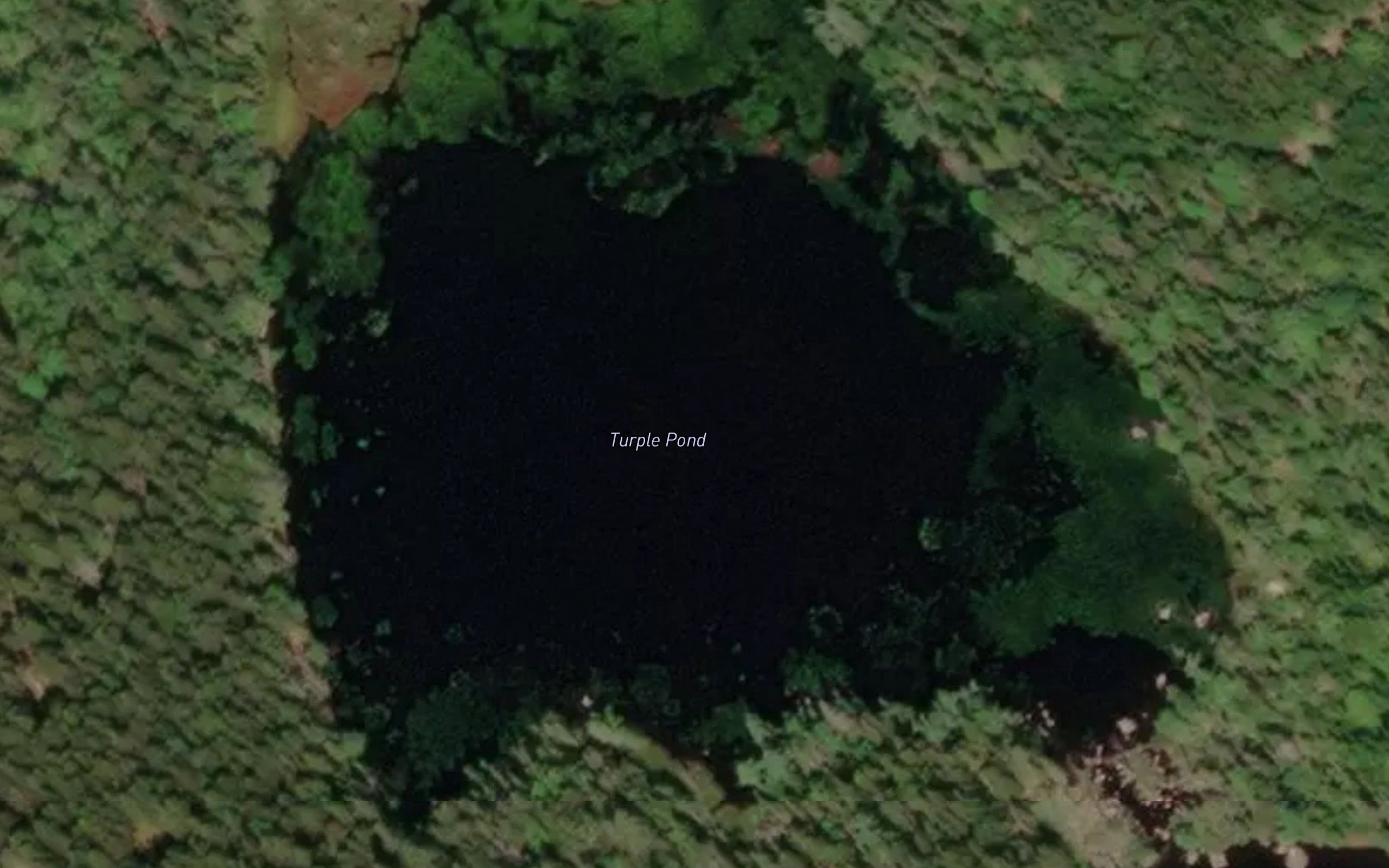 Turple Pond