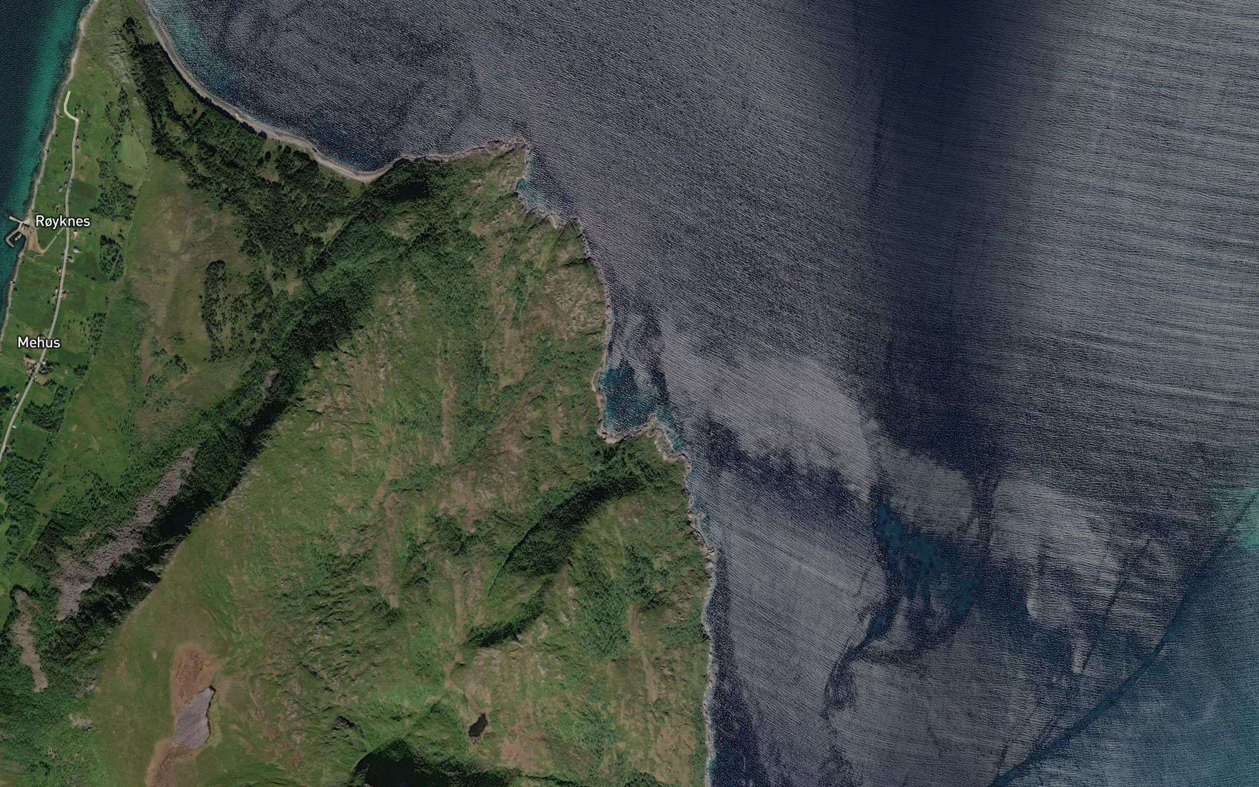 Krakvika