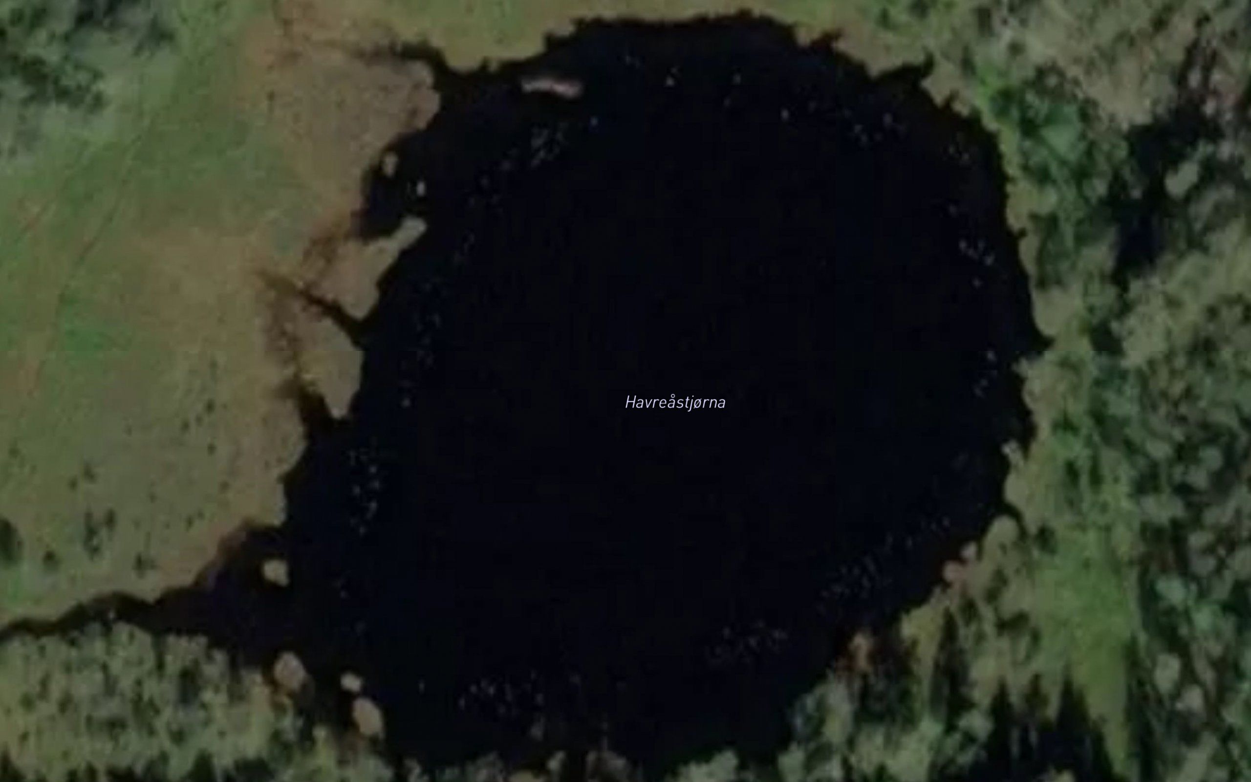 Havreastjorna