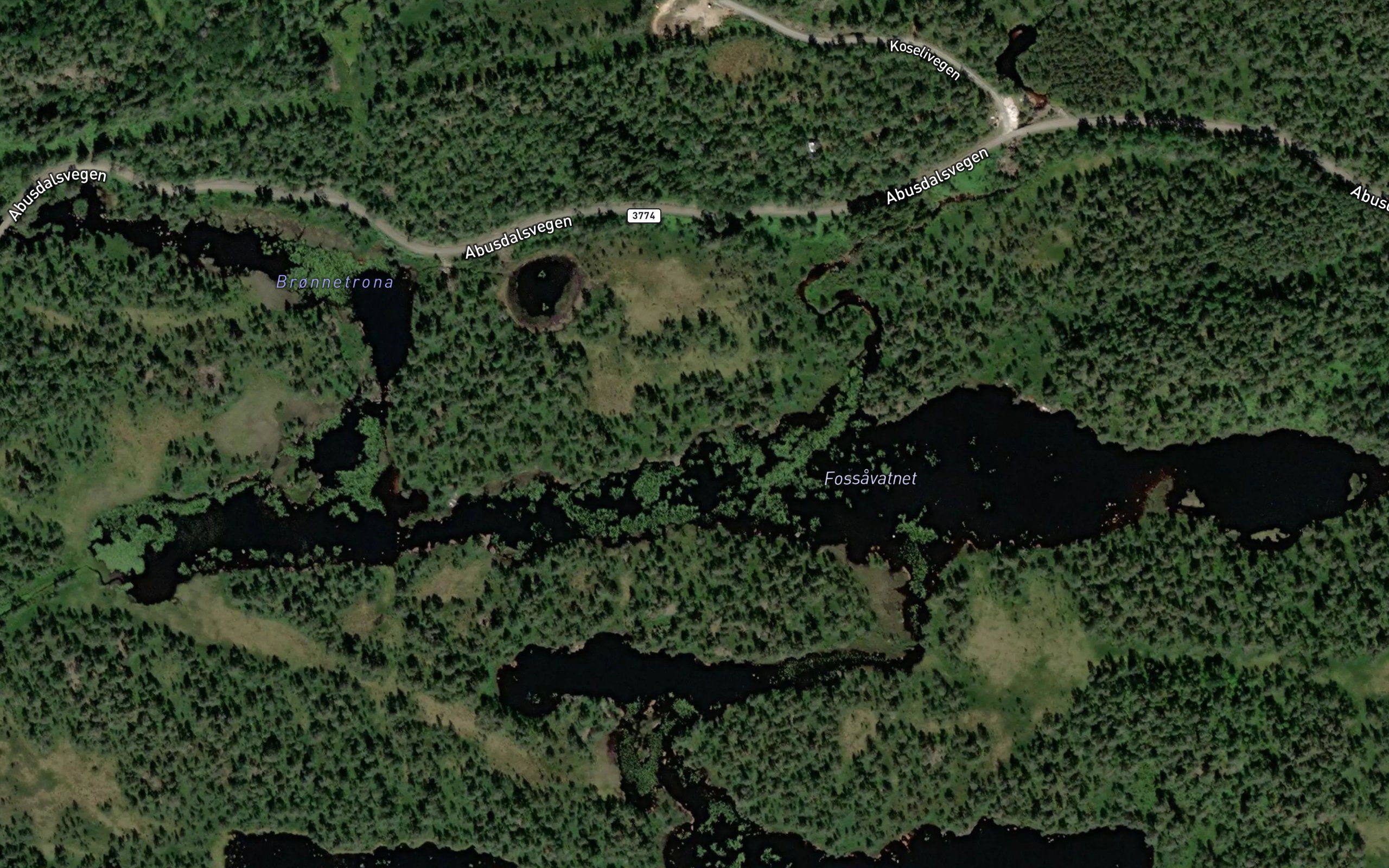 Fossavatnet