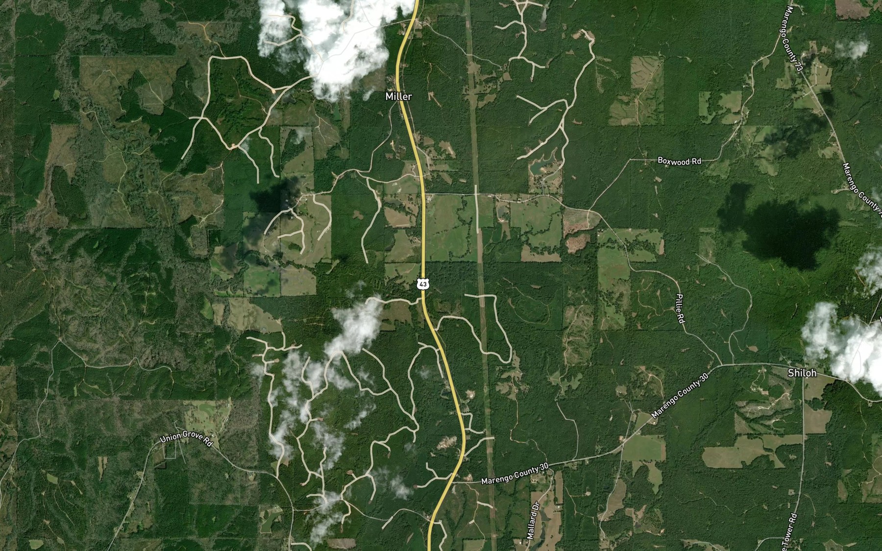 Satellite map of the Wilson Creek