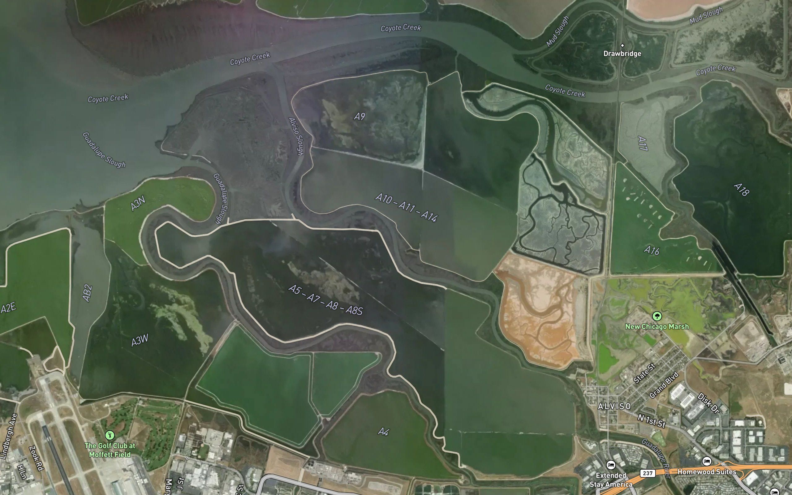 Alviso Slough