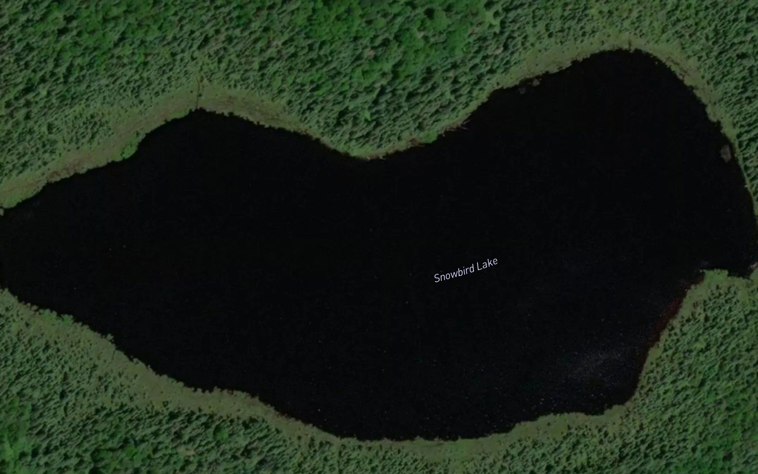 Snowbird Lake