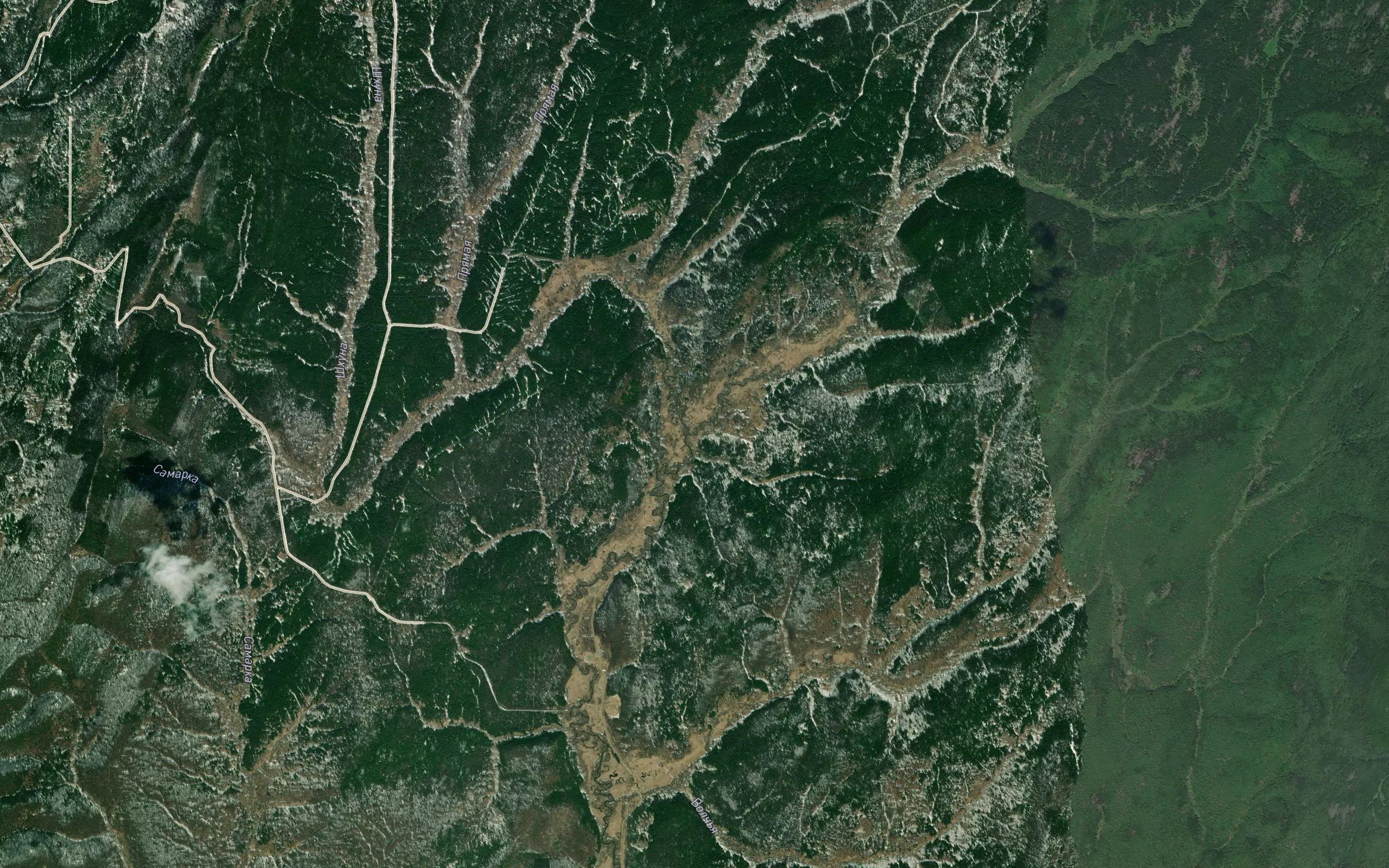Minutka
