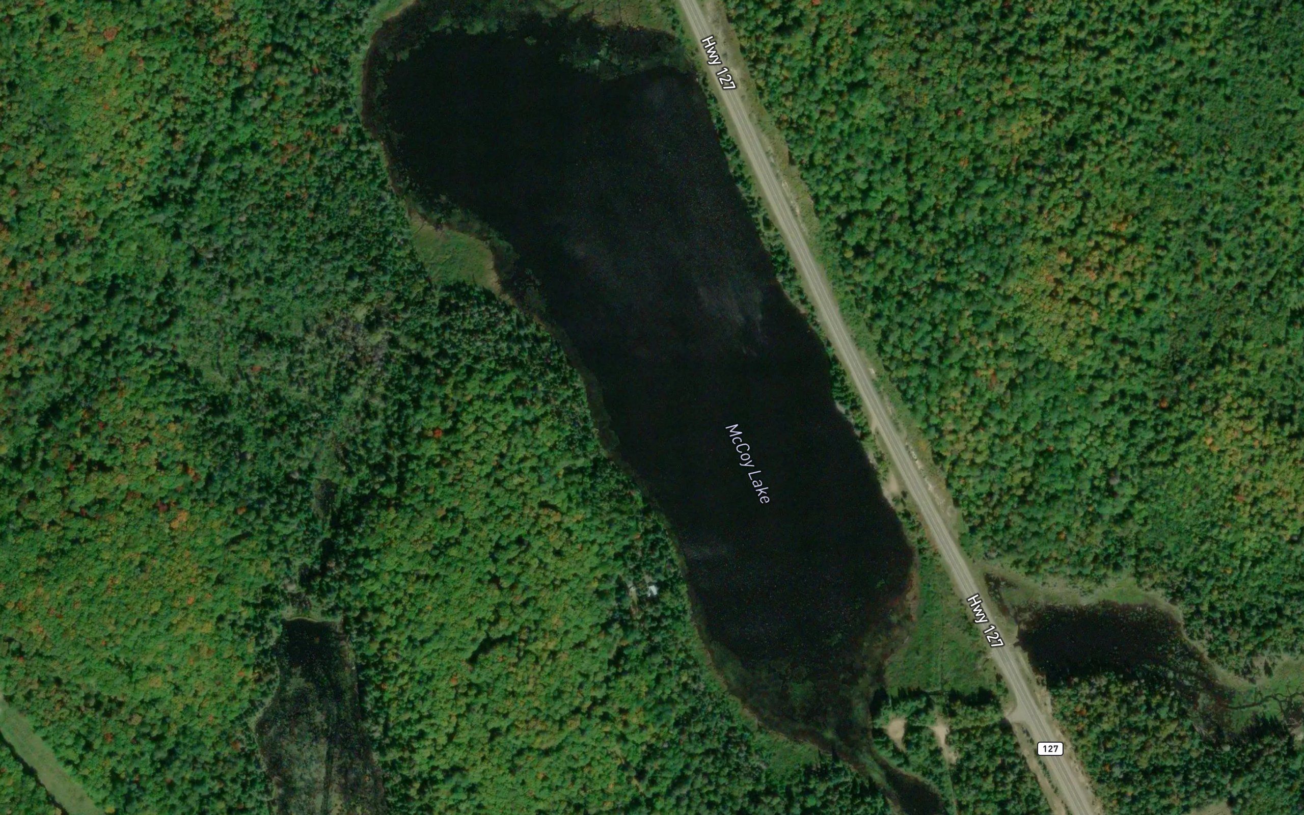 McCoy Lake