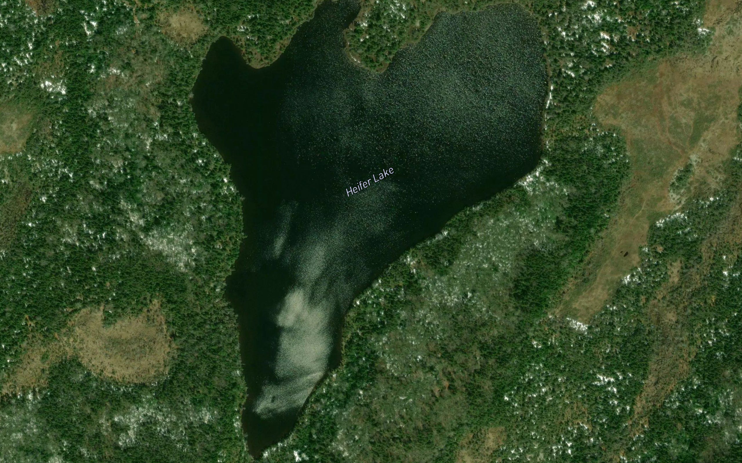 Heifer Lake