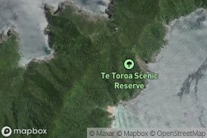 Te Toroa Bay