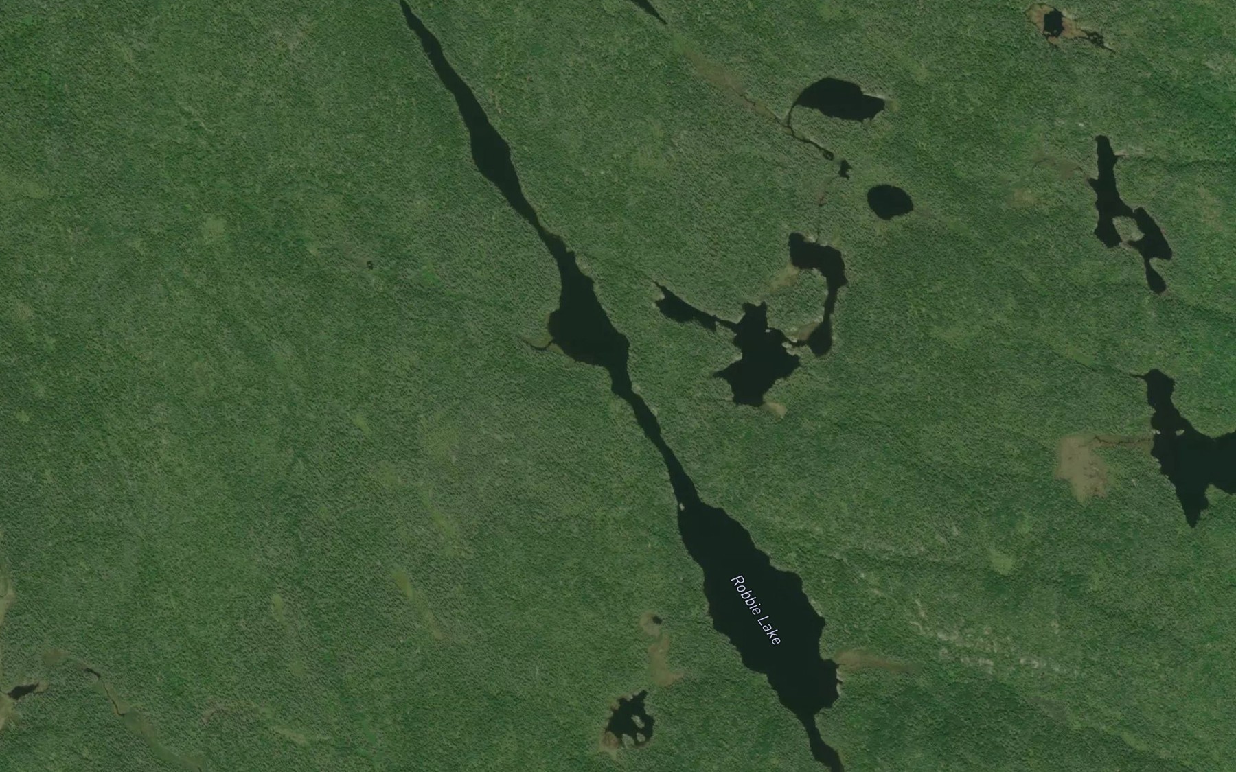 Satellite map of the Robbie Lake