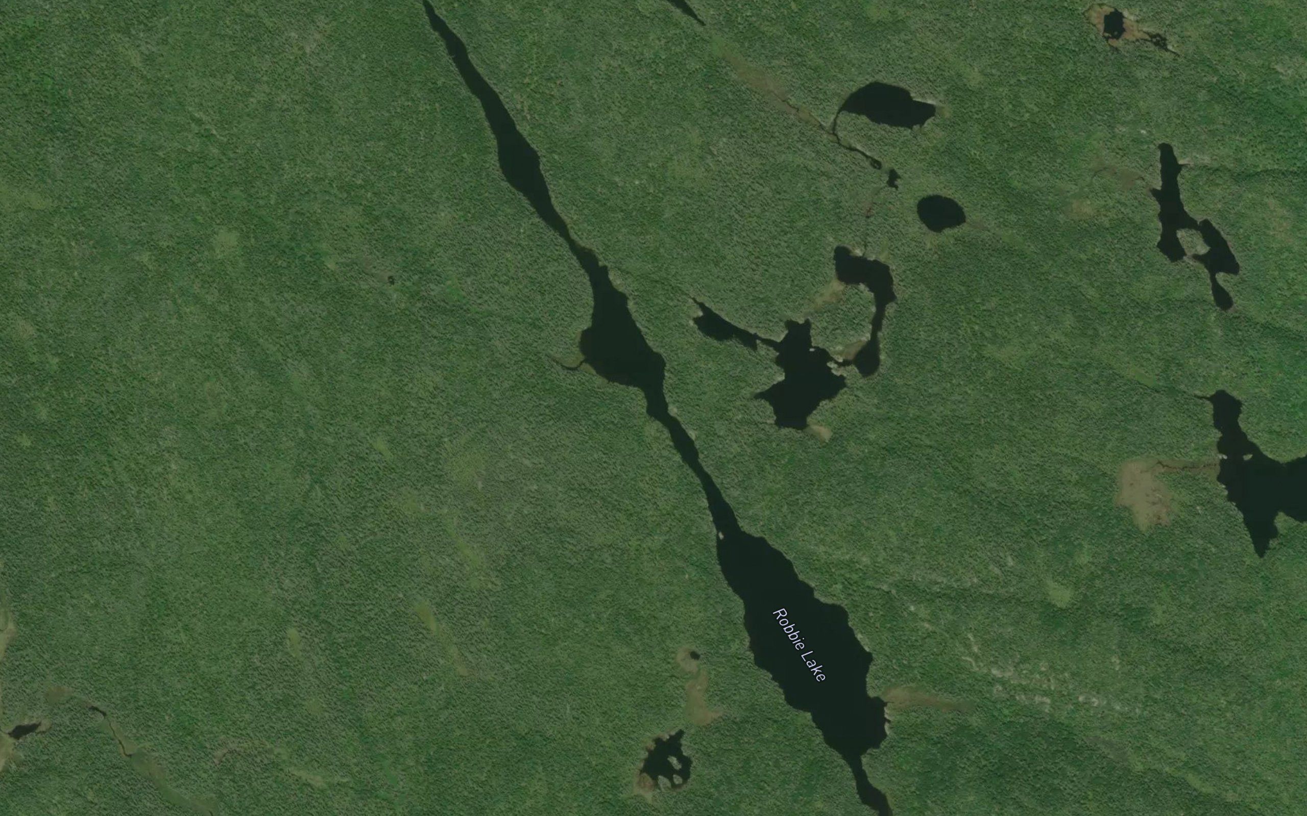 Robbie Lake