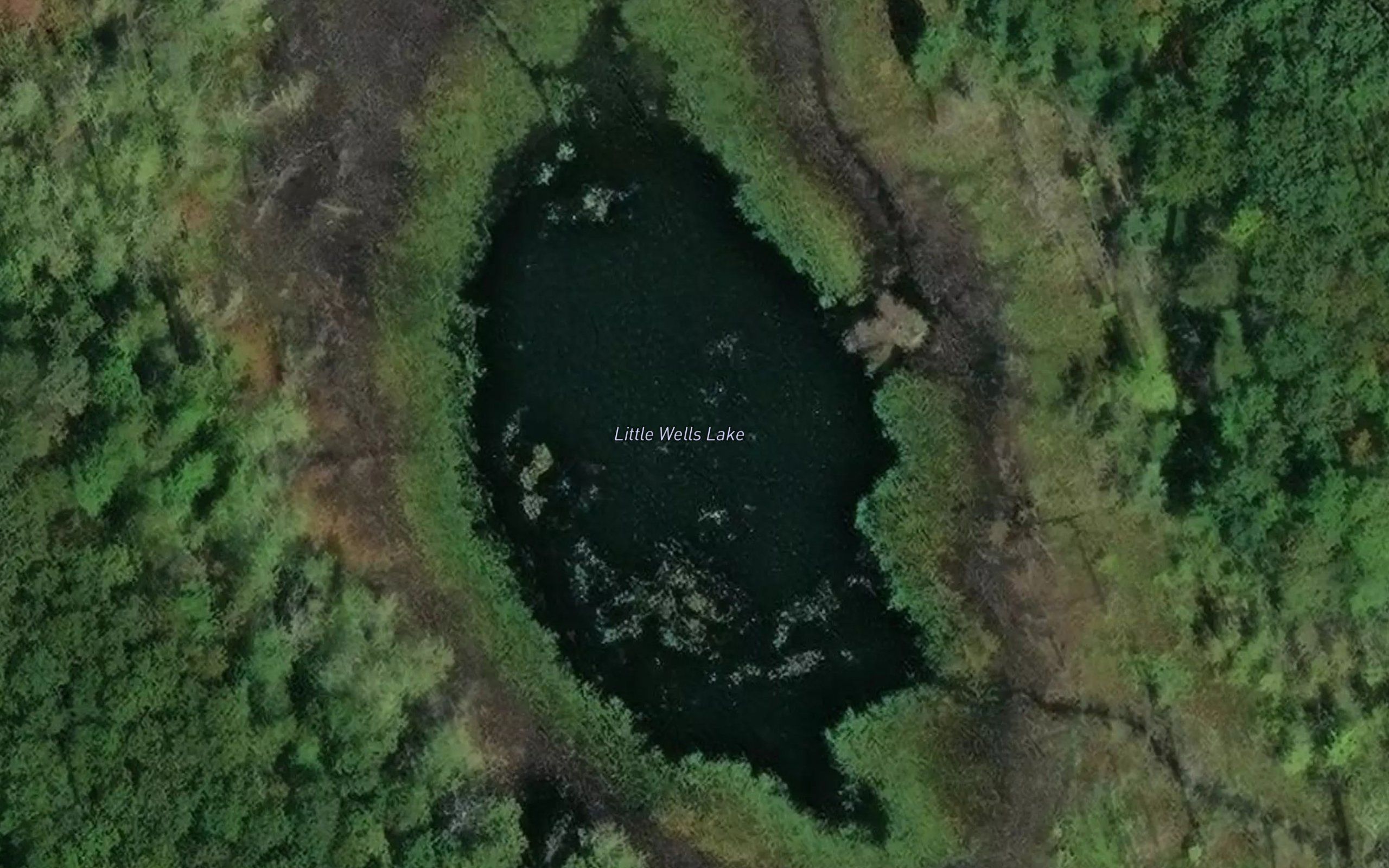 Little Wells Lake