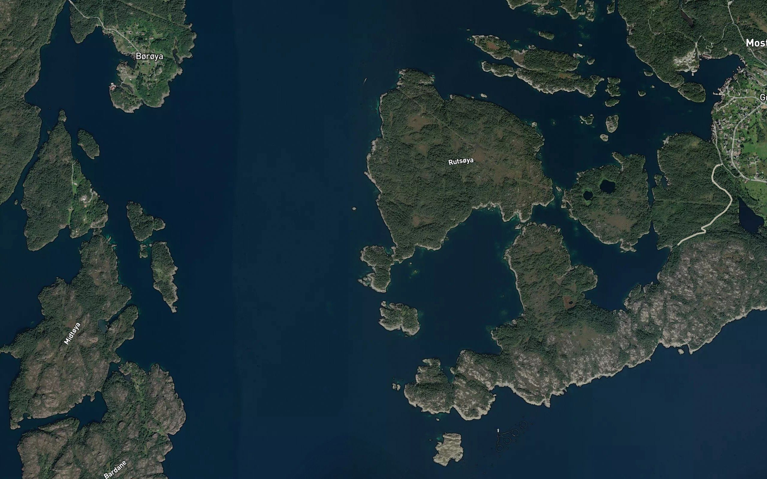 Avloypevika
