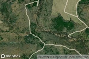 Harding Creek