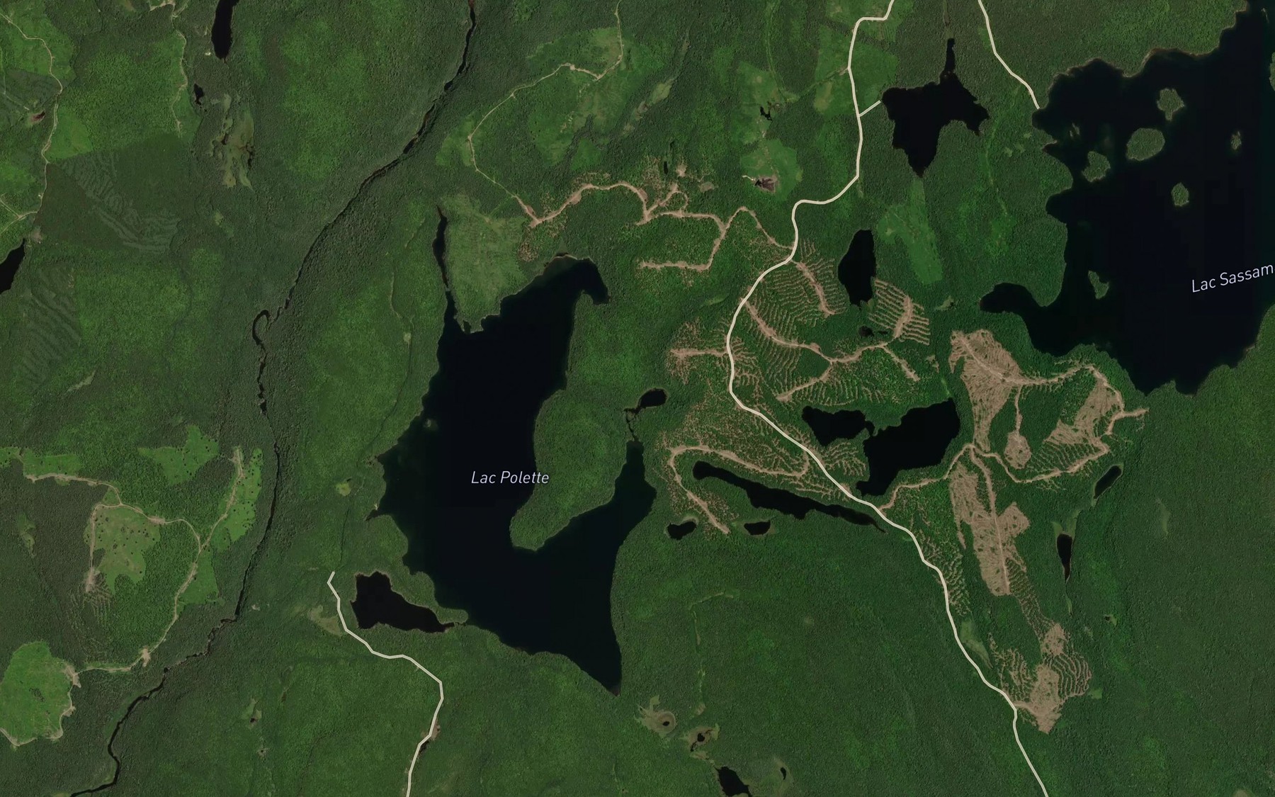 Satellite map of the Lac de l'Ecureuil Volant