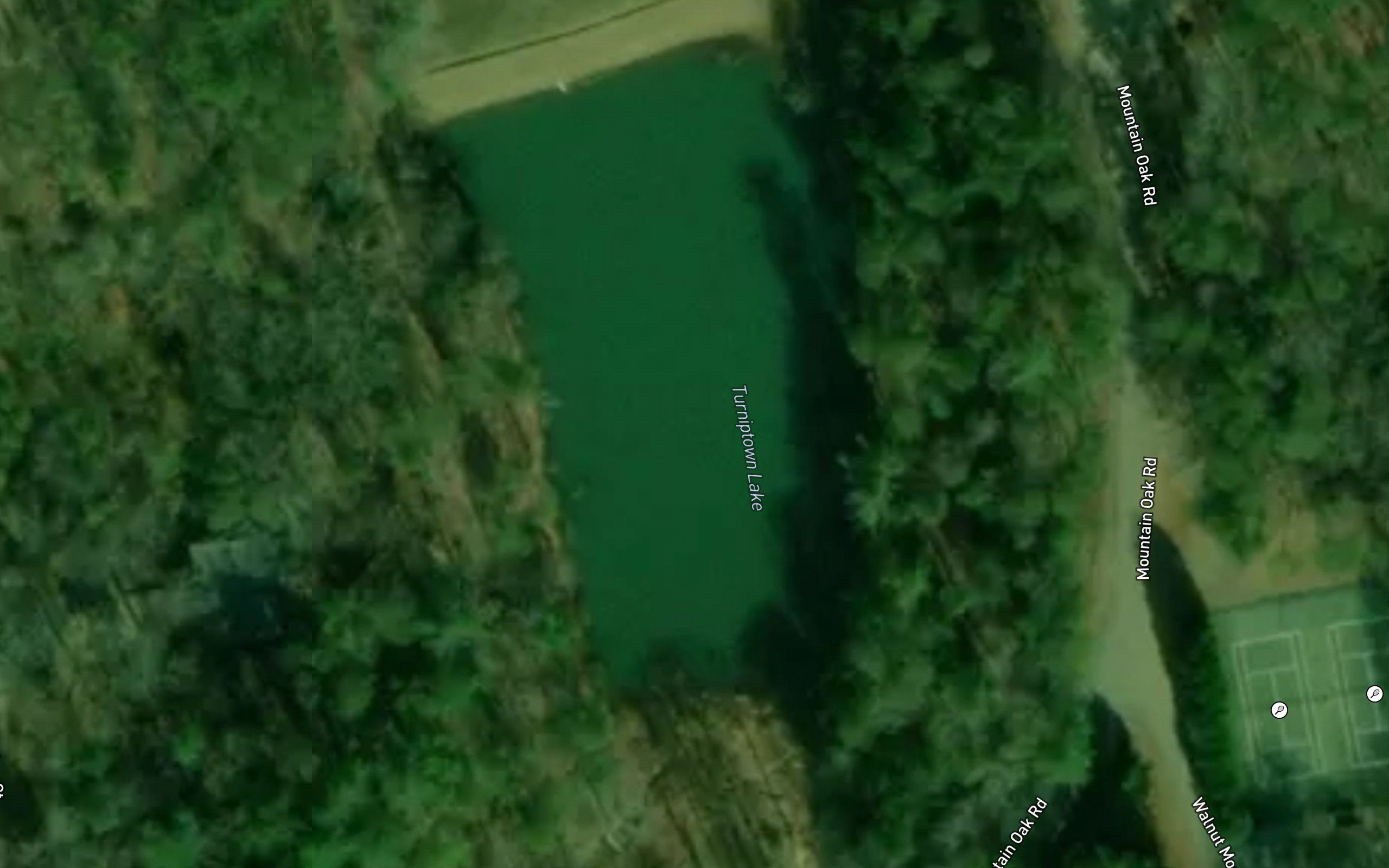Turniptown Lake