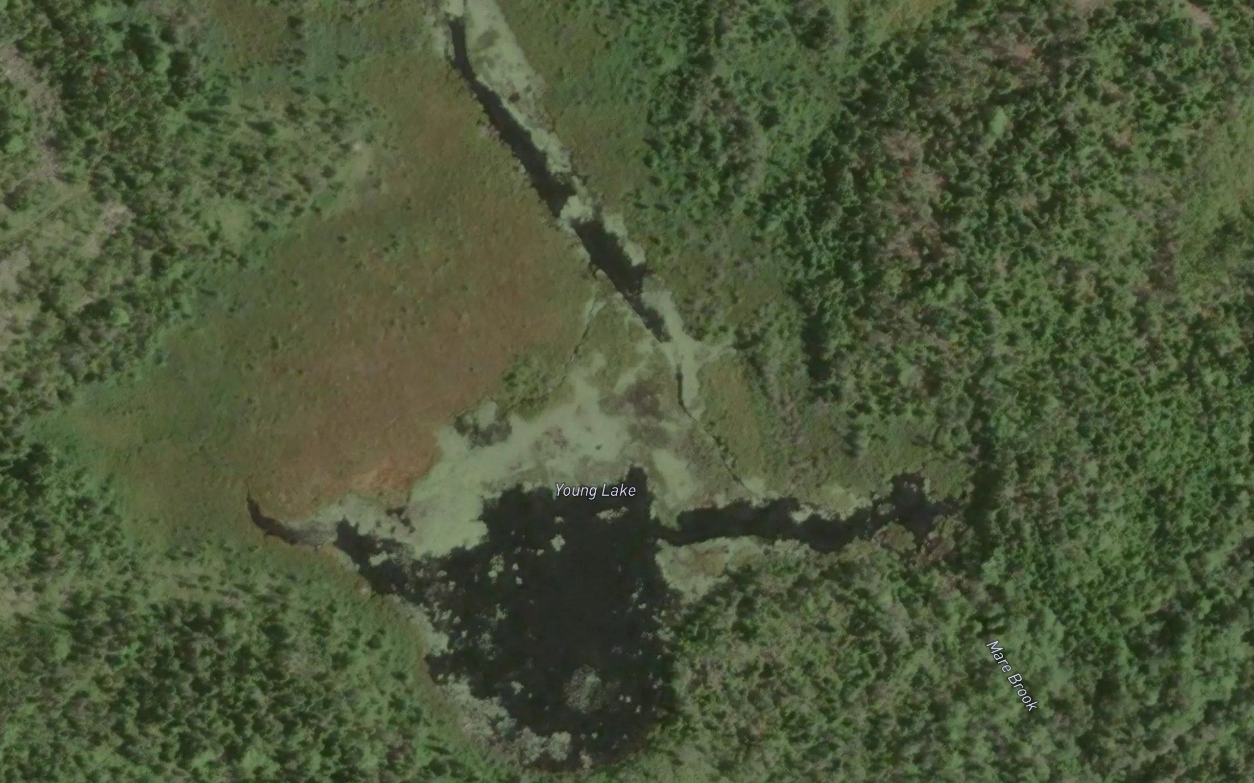 Young Lake