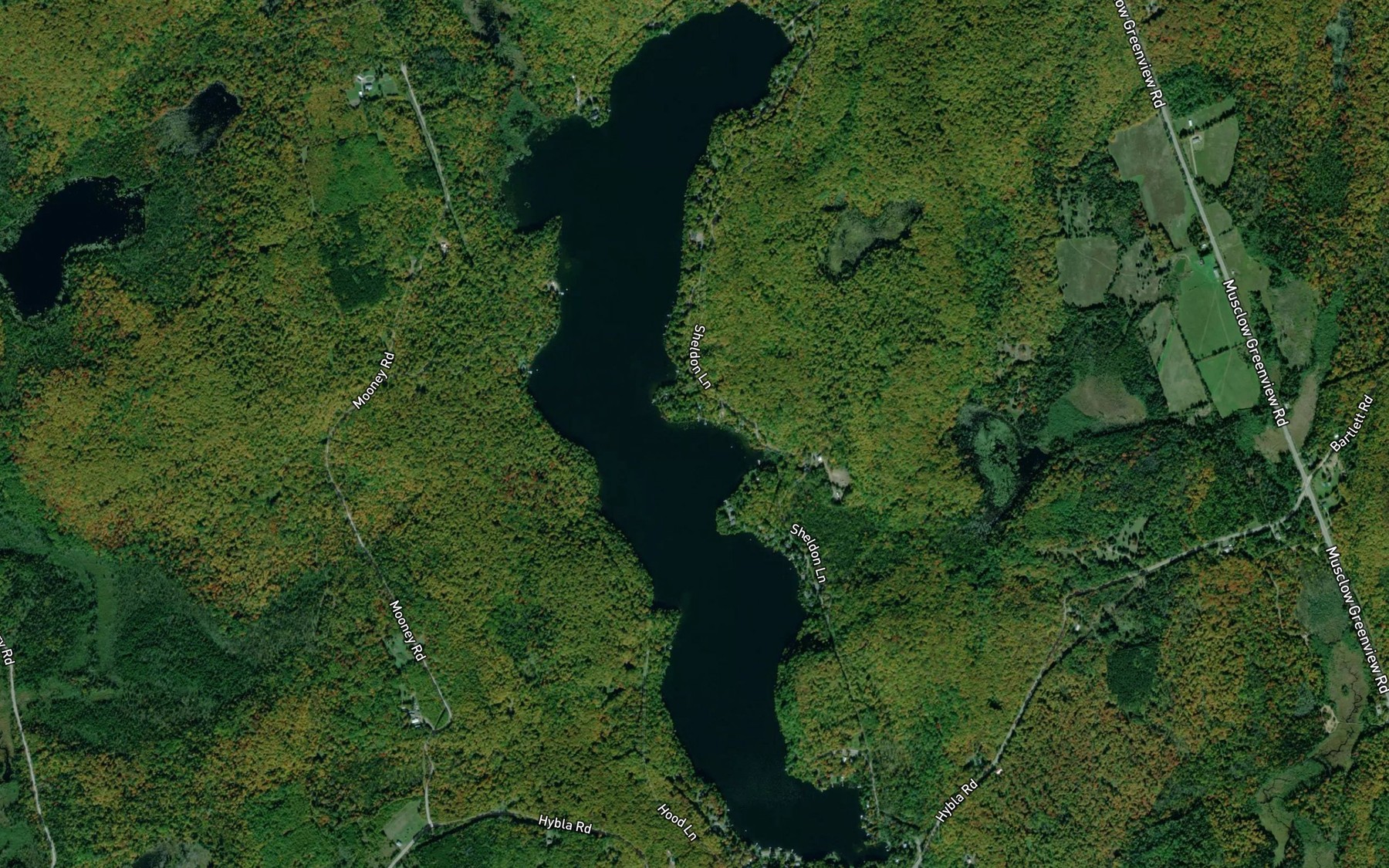 Satellite map of the Salmon Trout Lake