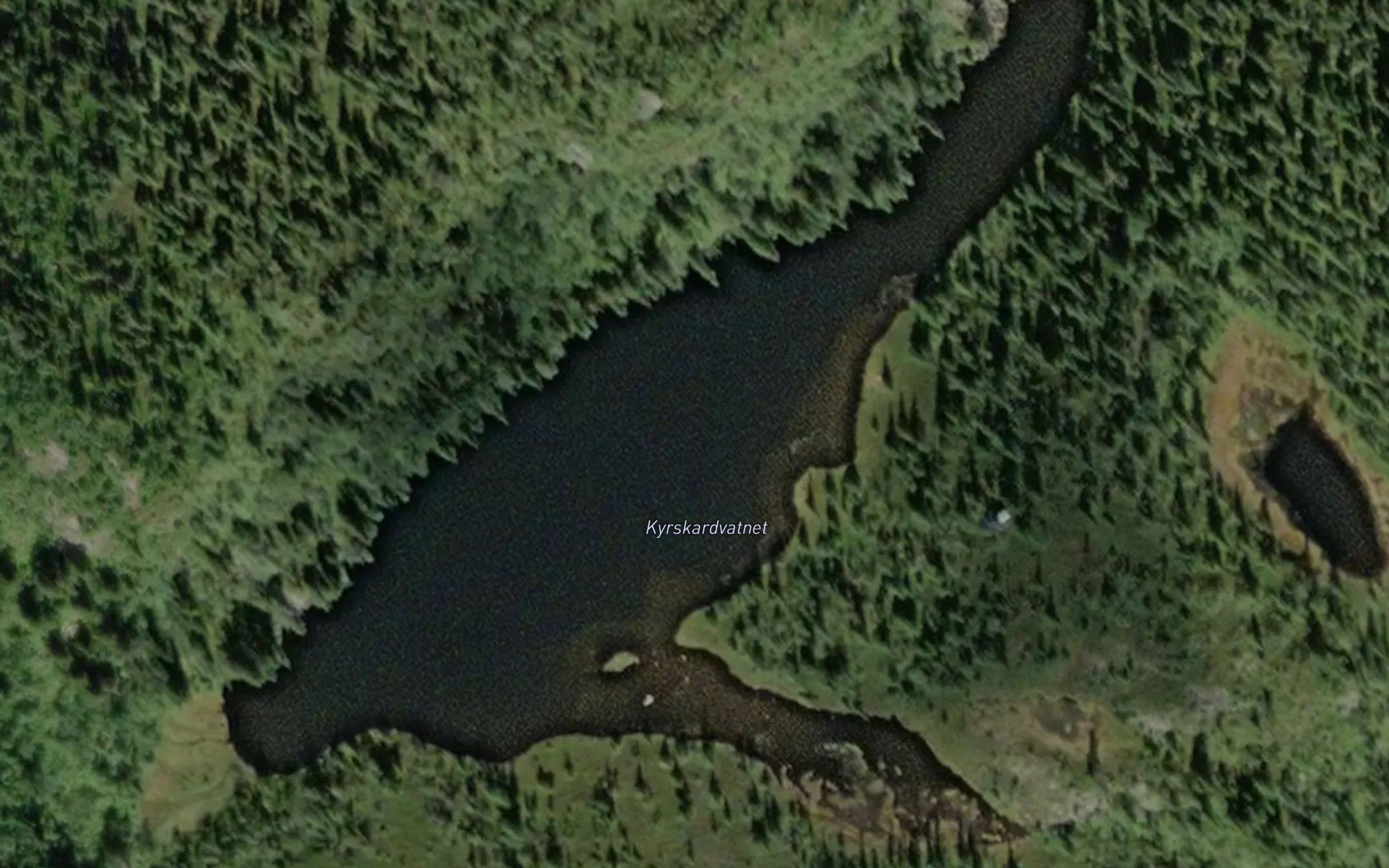 Kyrskartjenn