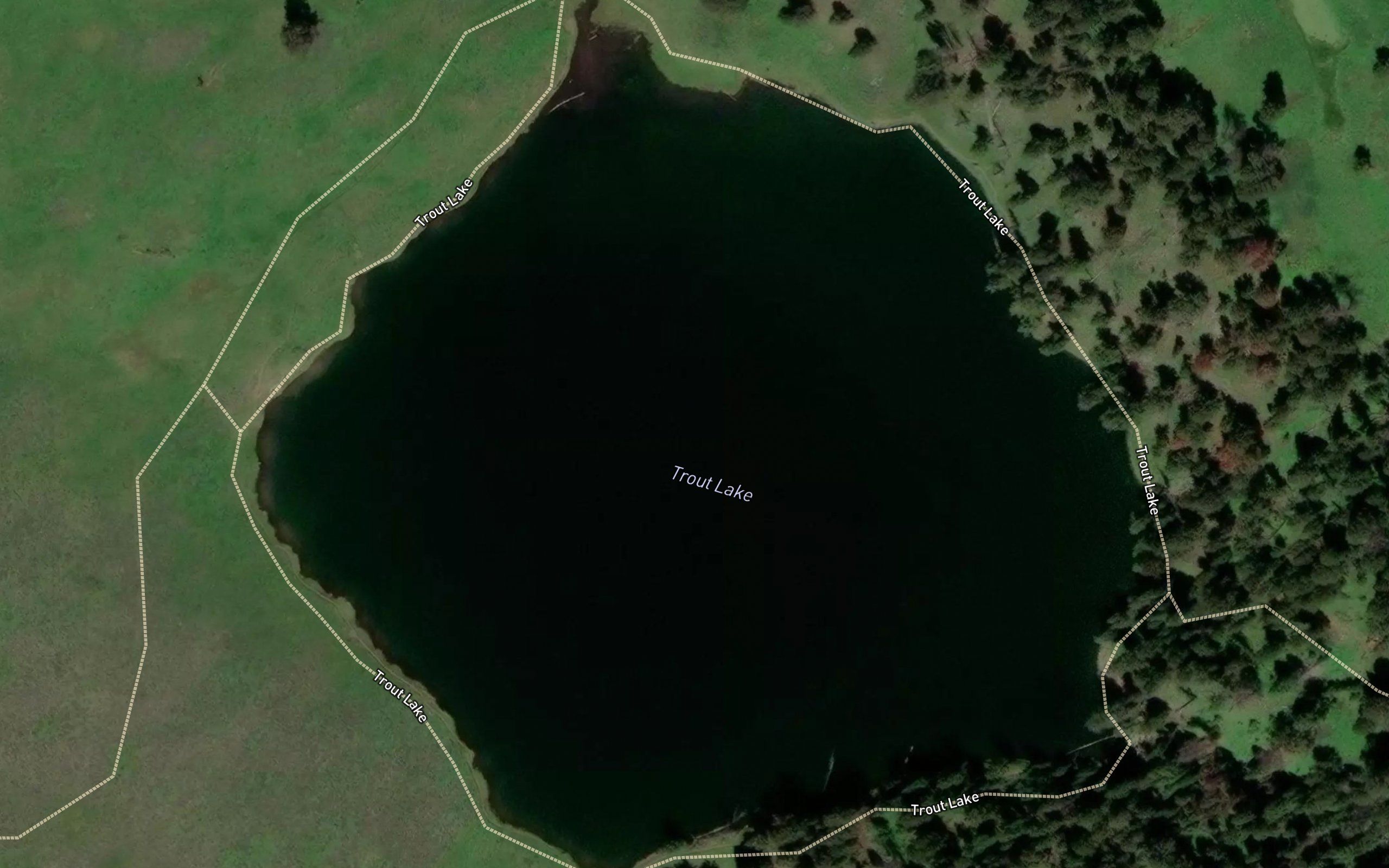Trout Lake