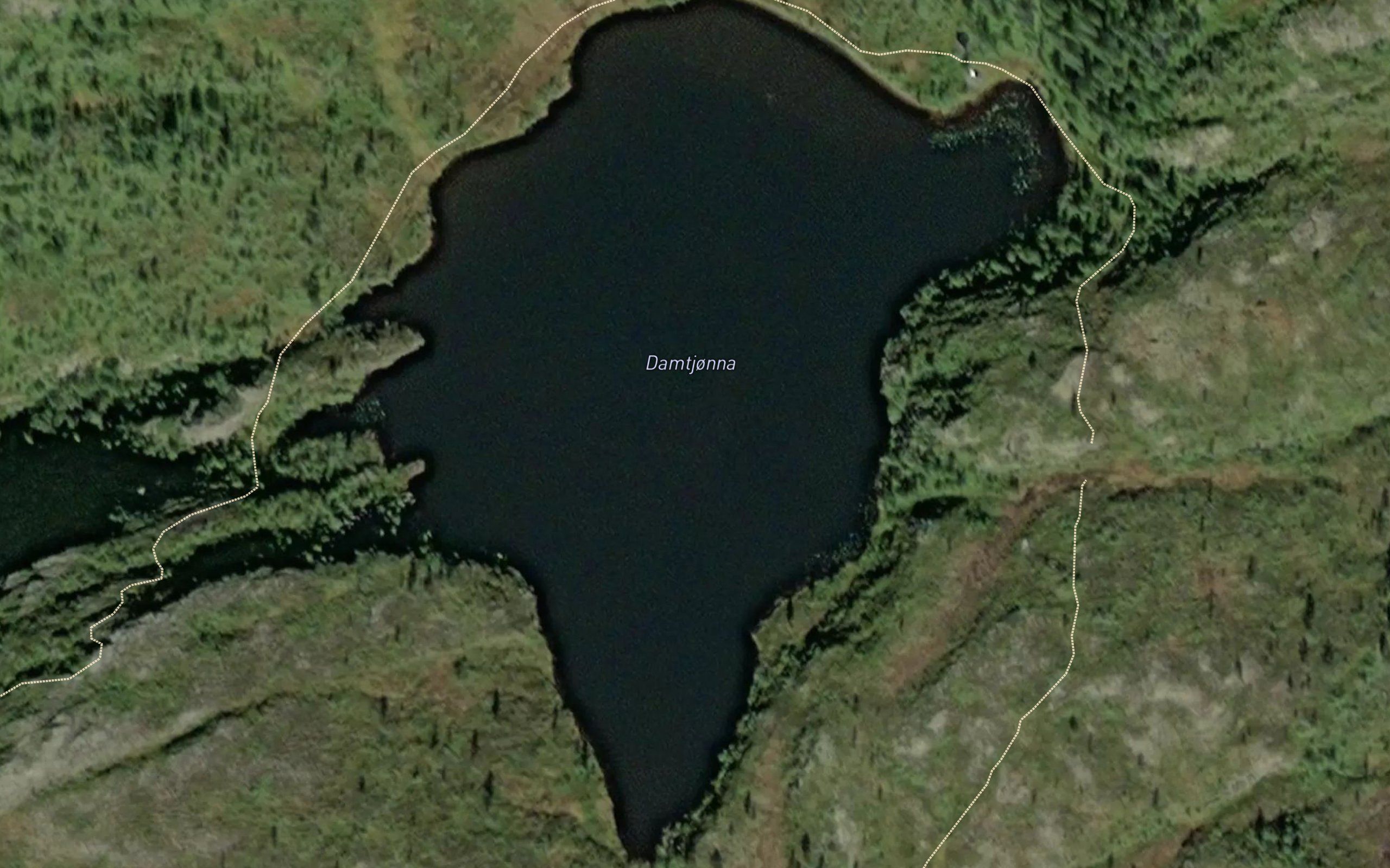 Damtjorna