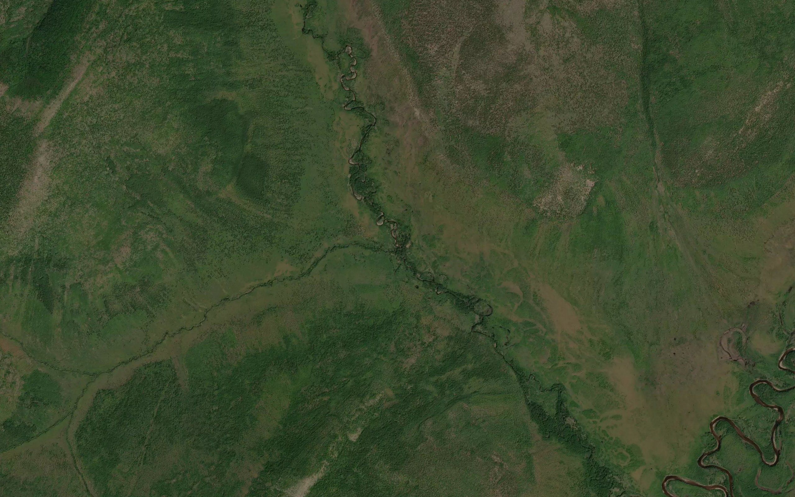 Tylakh