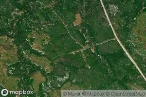 Maple Brook