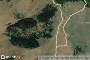 Dearborn Canyon Spring