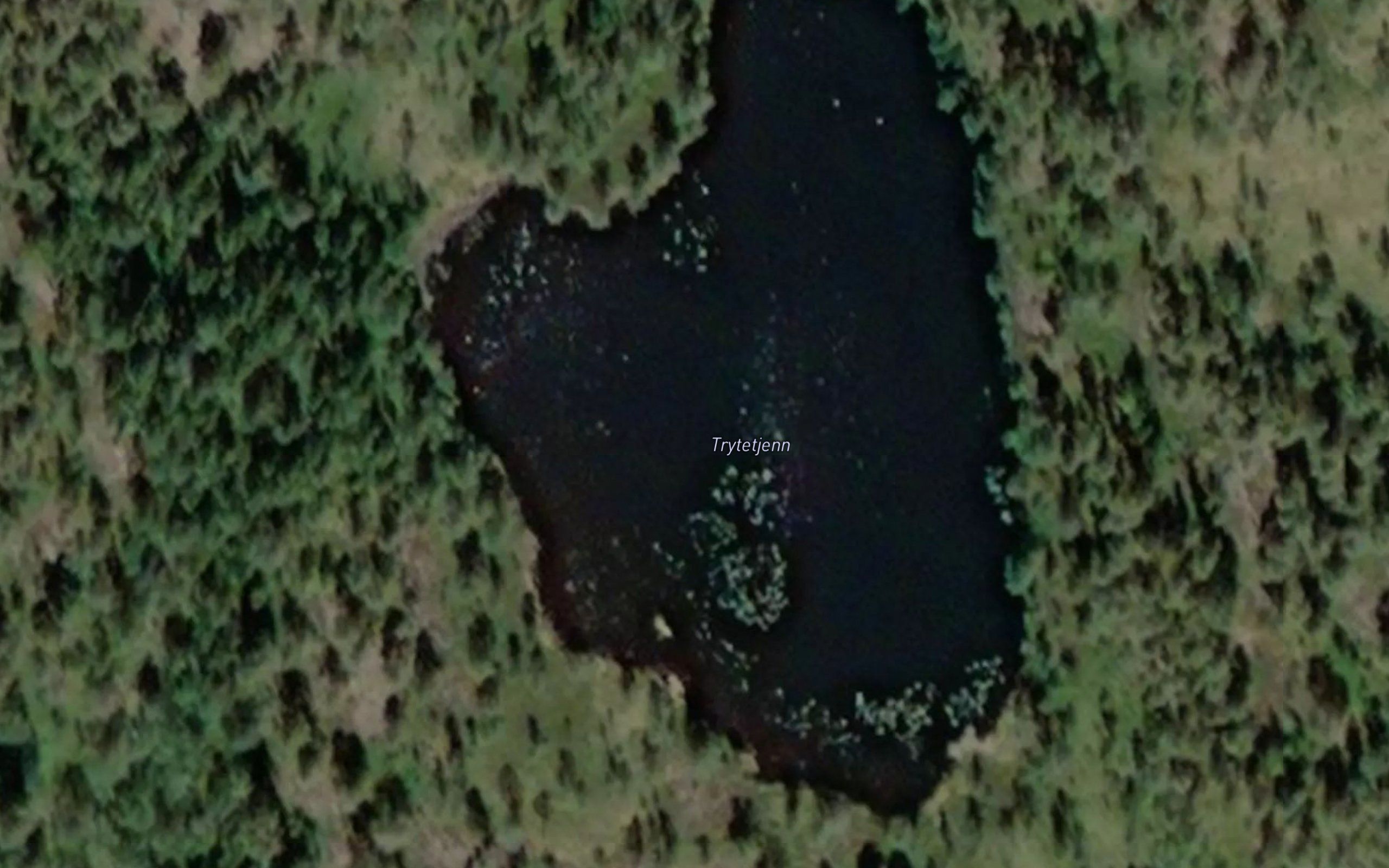 Trytetjern
