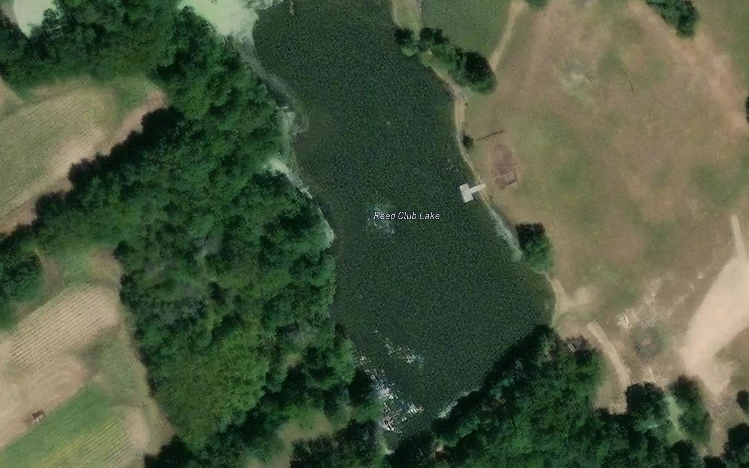 Reed Club Lake