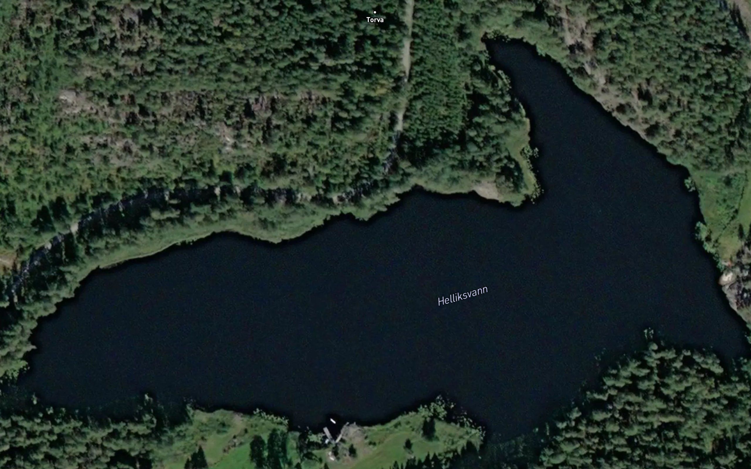 Helliksvann