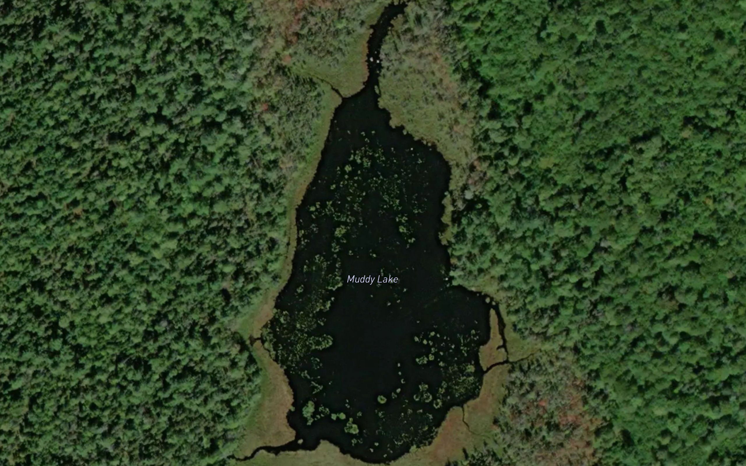 Muddy Lake