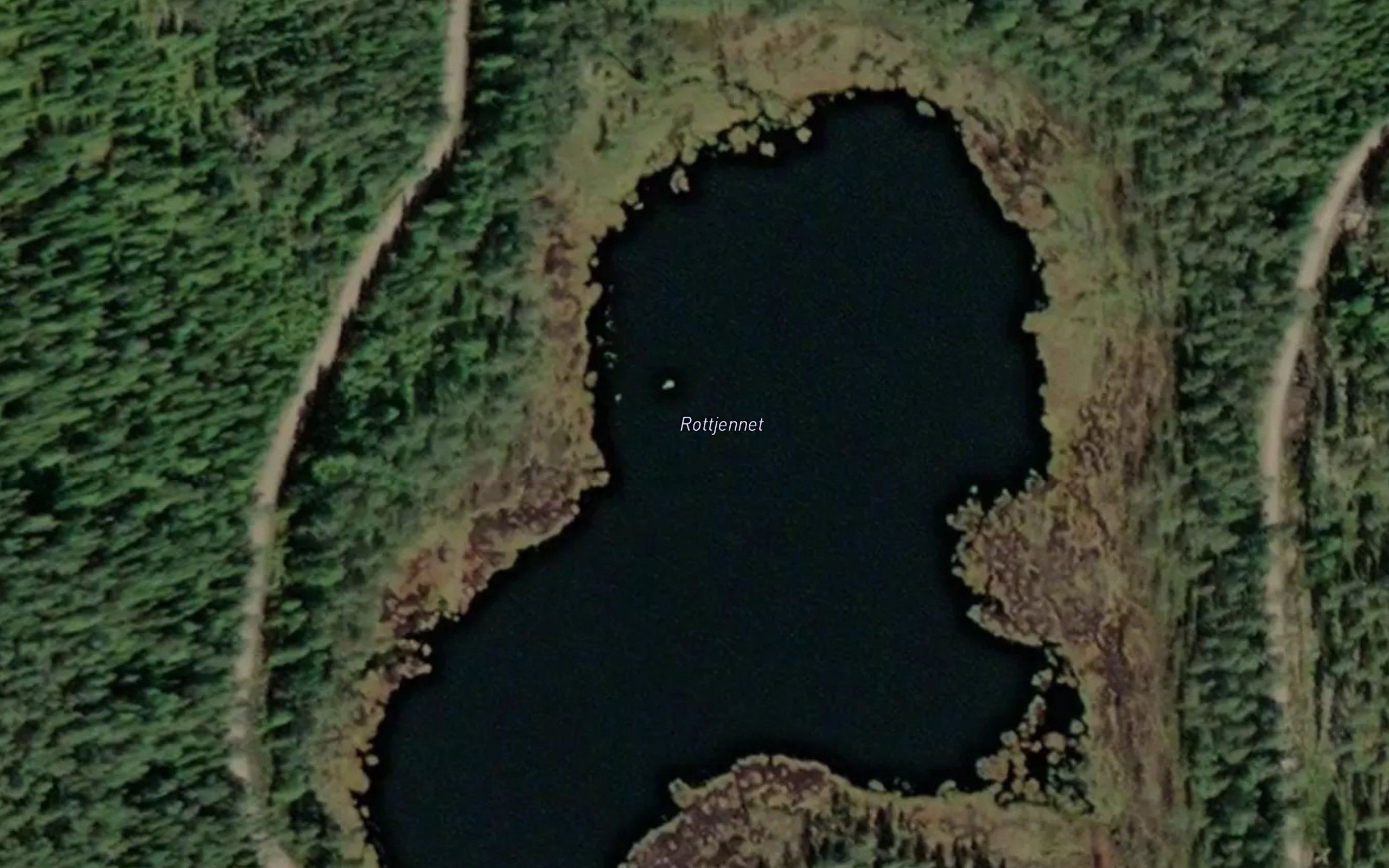 Rottjennet