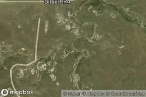 Bog Creek